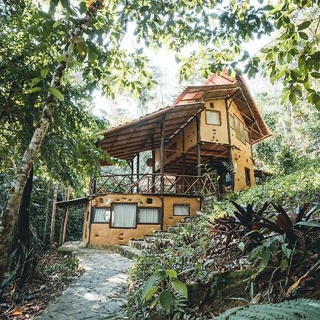 Chirapa Manta Amazon Lodge Lamas Eksteriør bilde