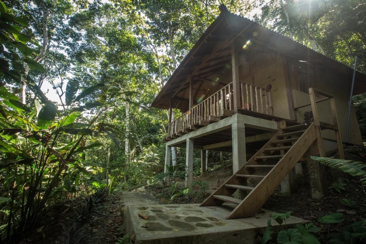 Chirapa Manta Amazon Lodge Lamas Eksteriør bilde