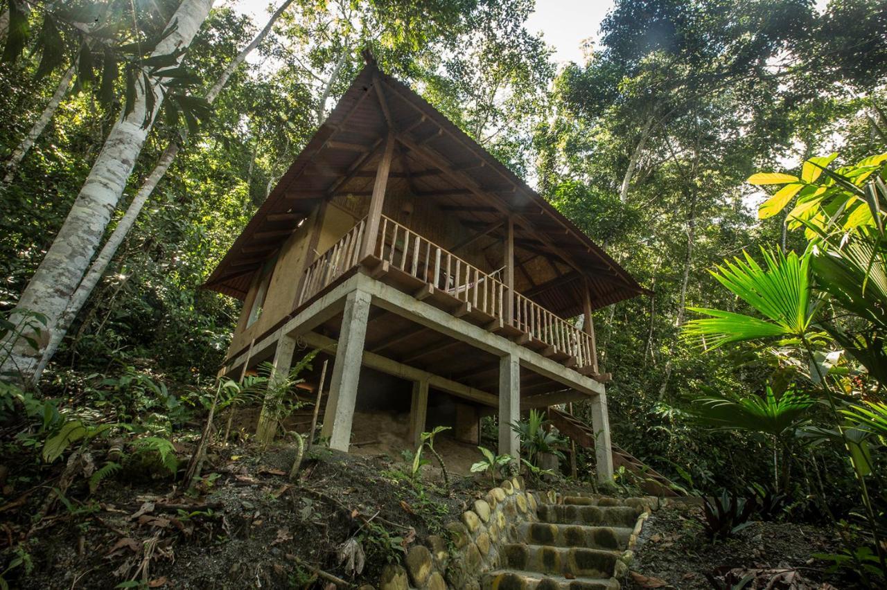 Chirapa Manta Amazon Lodge Lamas Eksteriør bilde