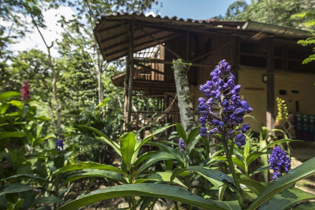 Chirapa Manta Amazon Lodge Lamas Eksteriør bilde