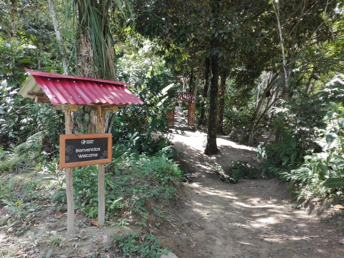 Chirapa Manta Amazon Lodge Lamas Eksteriør bilde