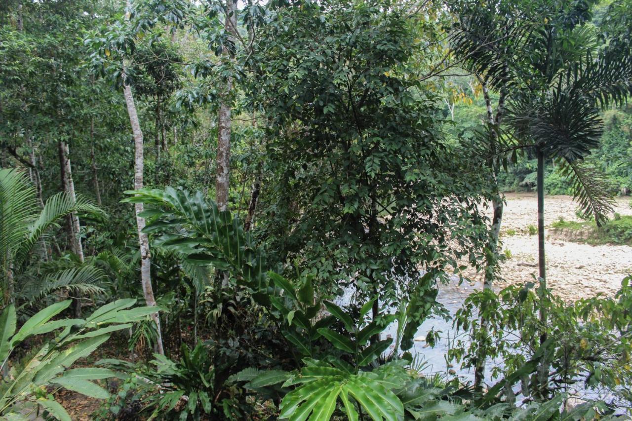Chirapa Manta Amazon Lodge Lamas Eksteriør bilde